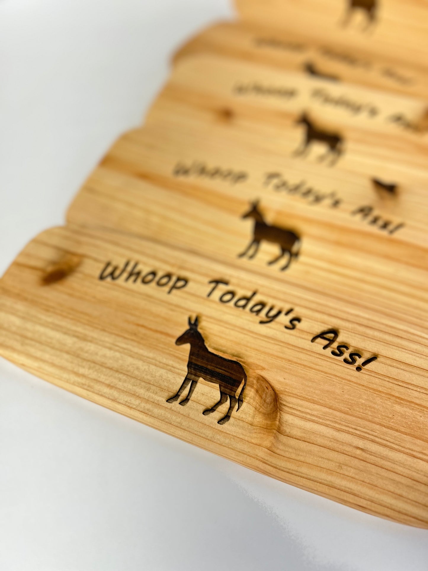 Funny Paddle Sign “Whoop Today’s A**” Wall Hanging Gift Sign