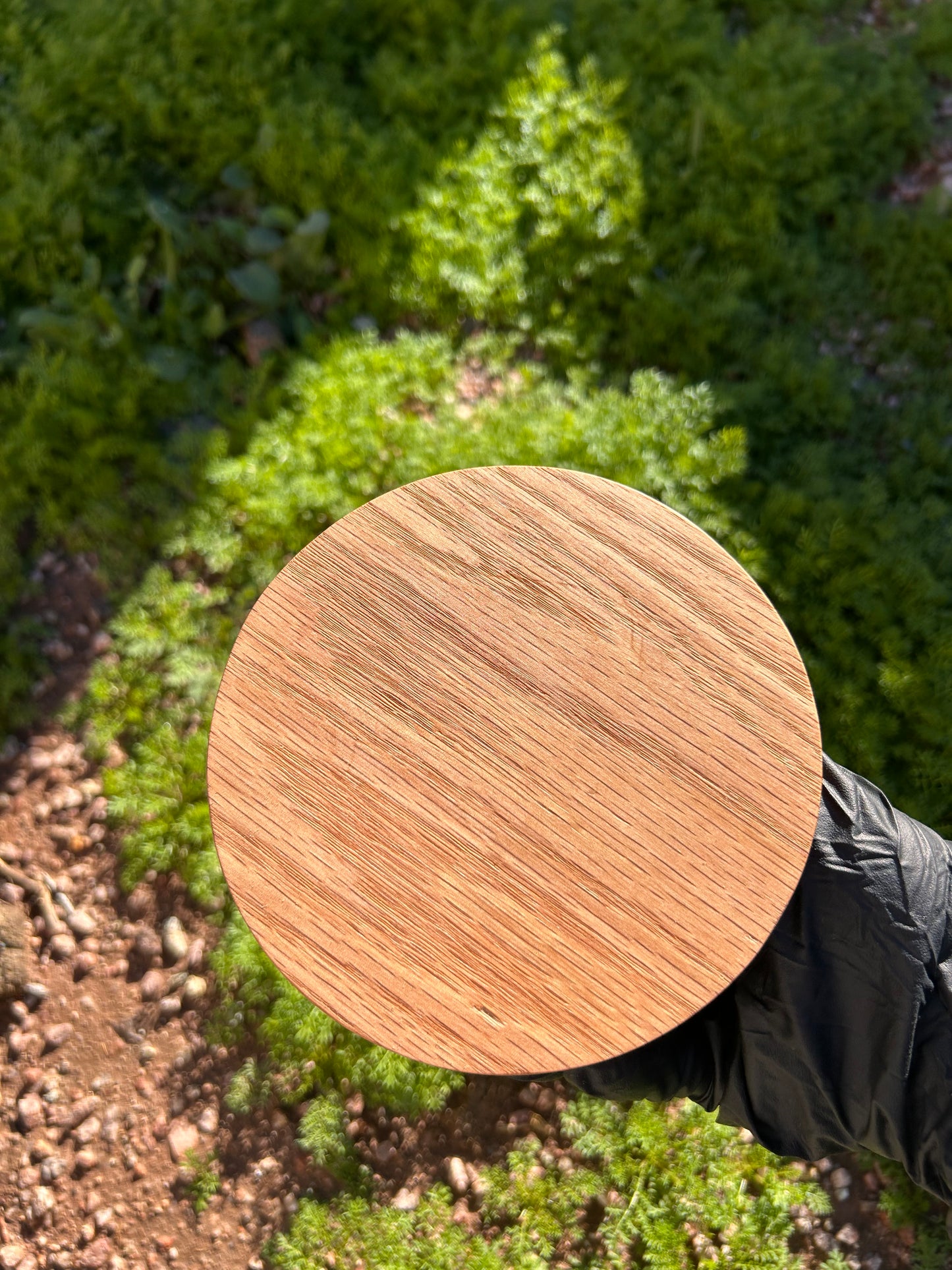 Mini Dough Press (5”)